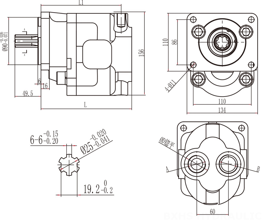 CBHS-F550 50 cc/rev 液压齿轮泵 drawing image